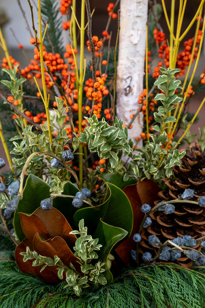 DIY Planter Kits