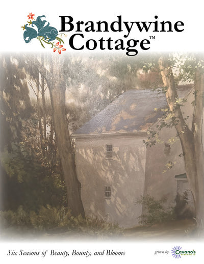 The Brandywine Cottage Collection