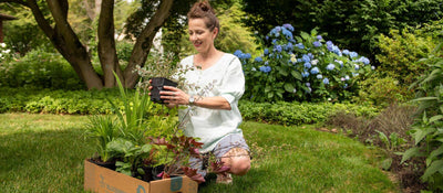 A happy Bloombox customer unpacks their box of beautiful plants