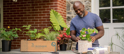 A happy Bloombox customer re-pots a beautiful plant