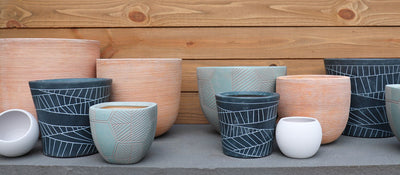 A selection of beautiful pots and planters