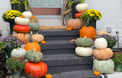 FALL FAVORITES
