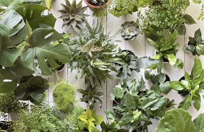 INDOOR SALE