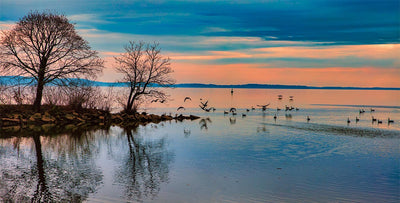 Chesapeake Bay Foundation Garden Kits